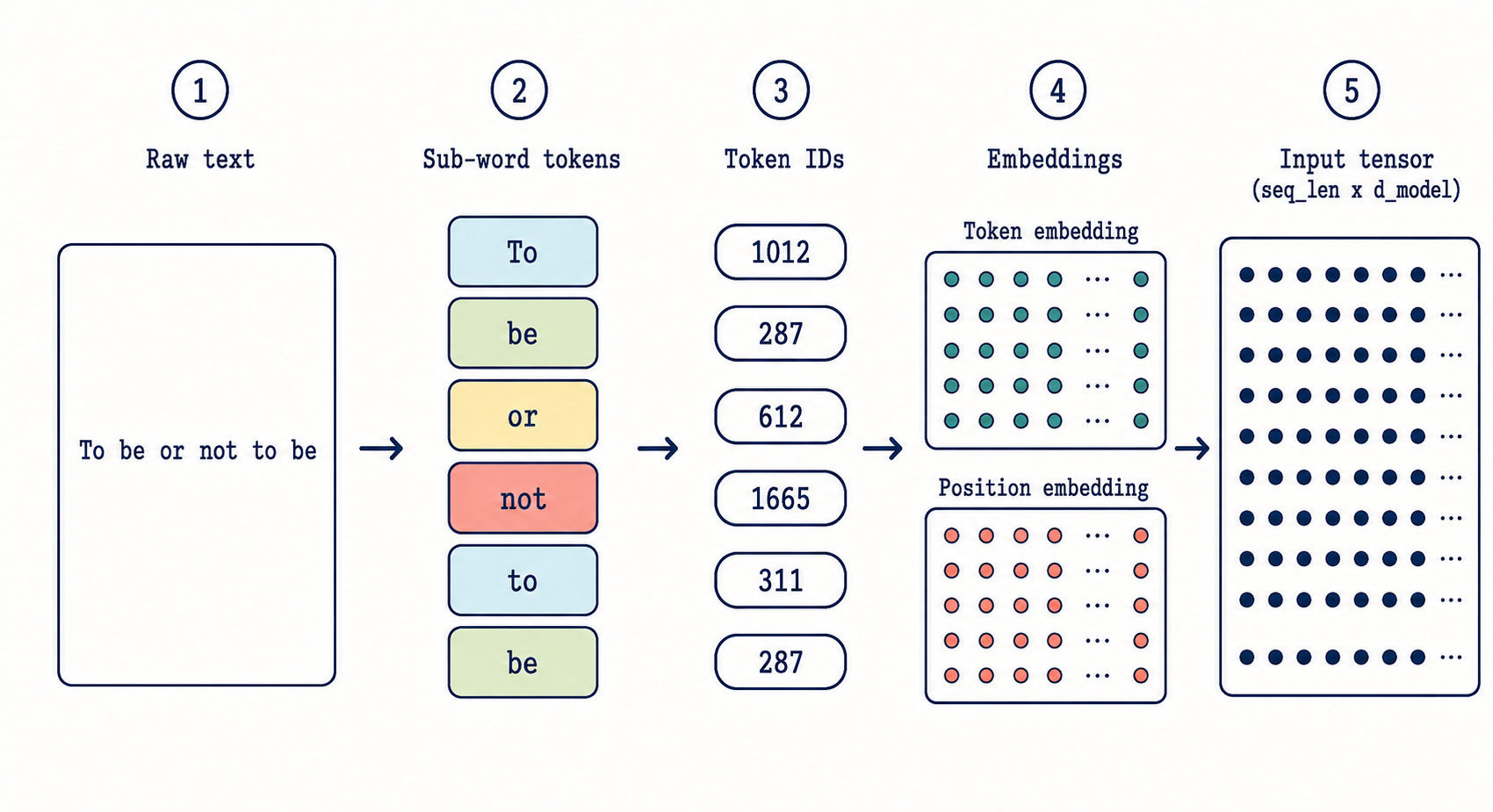 Train 30M-param chat LLM from scratch in Wolfram: complete tokenizer-to-chat pipeline on $3 WAS GPU