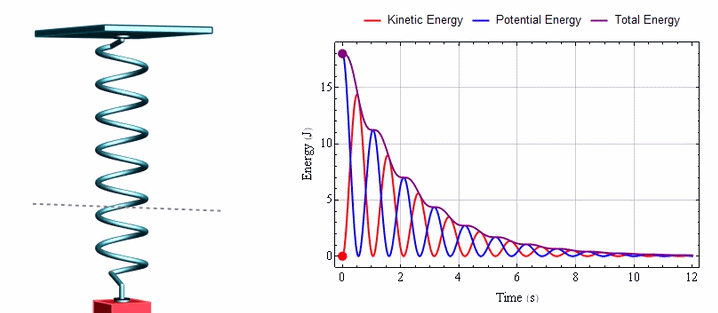 Dynamic simulation of the damped mass-spring system