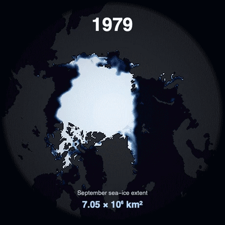 Arctic sea-ice extent: trend, annual harmonics, and change-points after seasonal removal