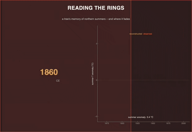 Reading tree rings: Fennoscandia dendroclimatology, summer temperature & the divergence problem