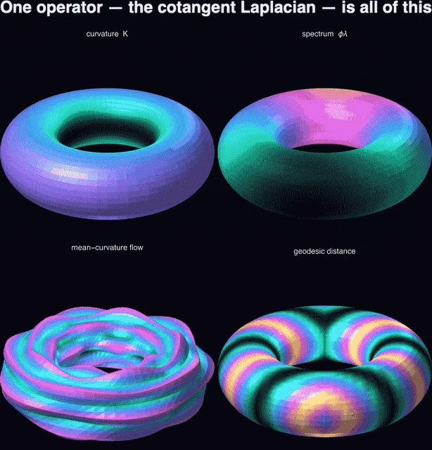 Discrete differential geometry on meshes via the cotangent Laplacian