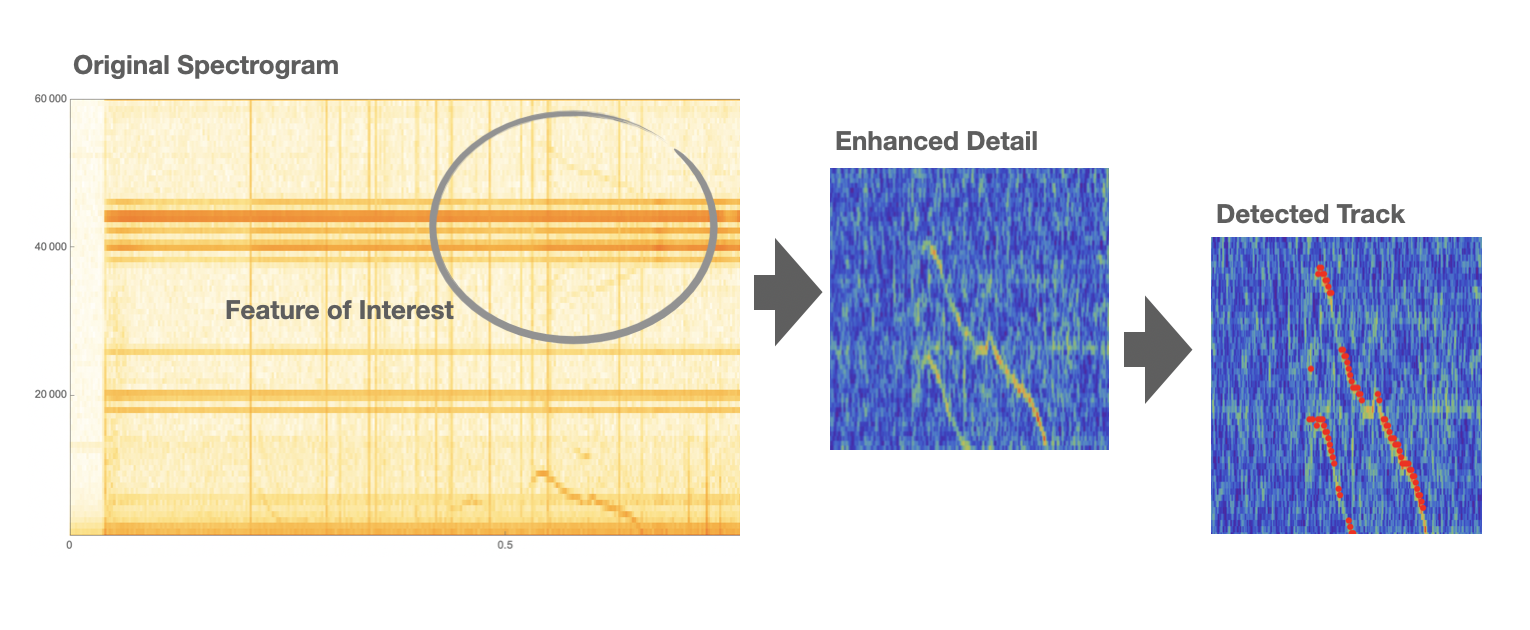 Frequency track detection example