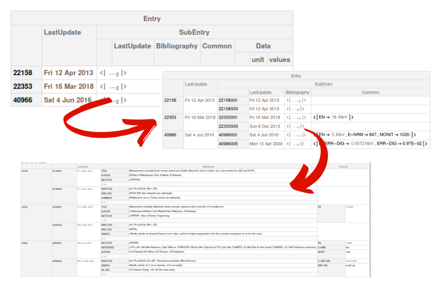 Final result - Exfor file to Dataset