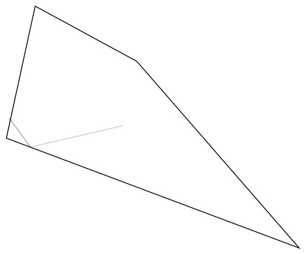 Animated raycast in a random polygon