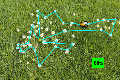 Optimal tour for a bee pollinating flowers