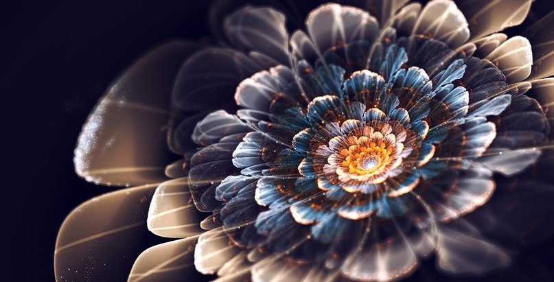 Fractal Flower