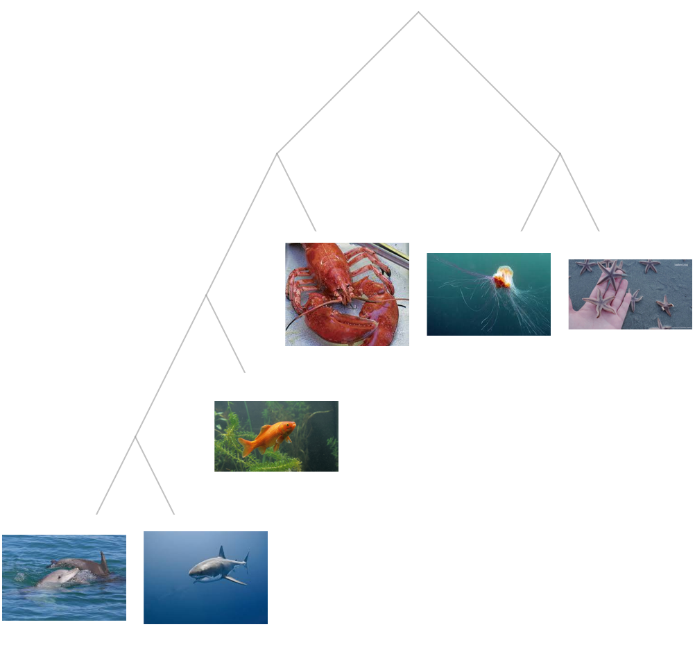 Tree of Sea Creatures