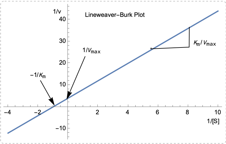 Hanes-Woolf plot (a) and a numerically calculated fitting curve (b)