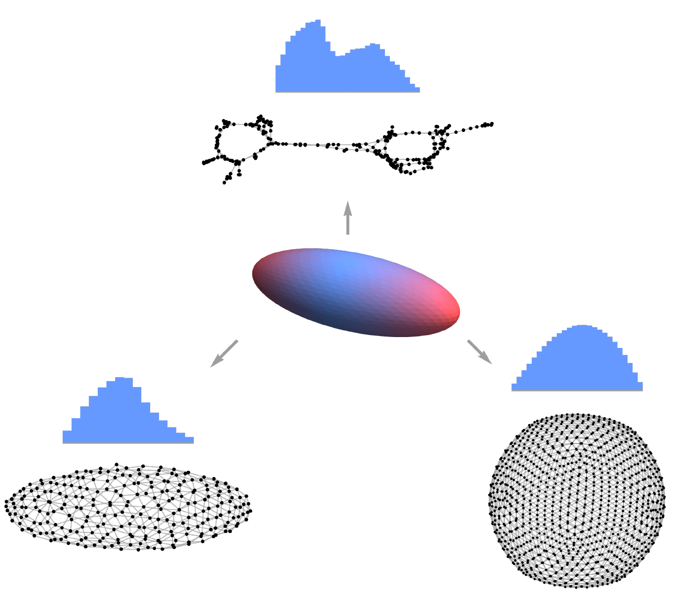 Anisotropy of Space From Discretization