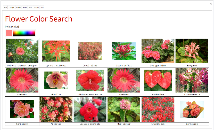 The completed webpage that displays the flowers based on a color input.
