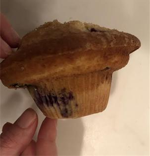 the revolutionary Blueberry muffin that will be extensively analyzed in this exploration