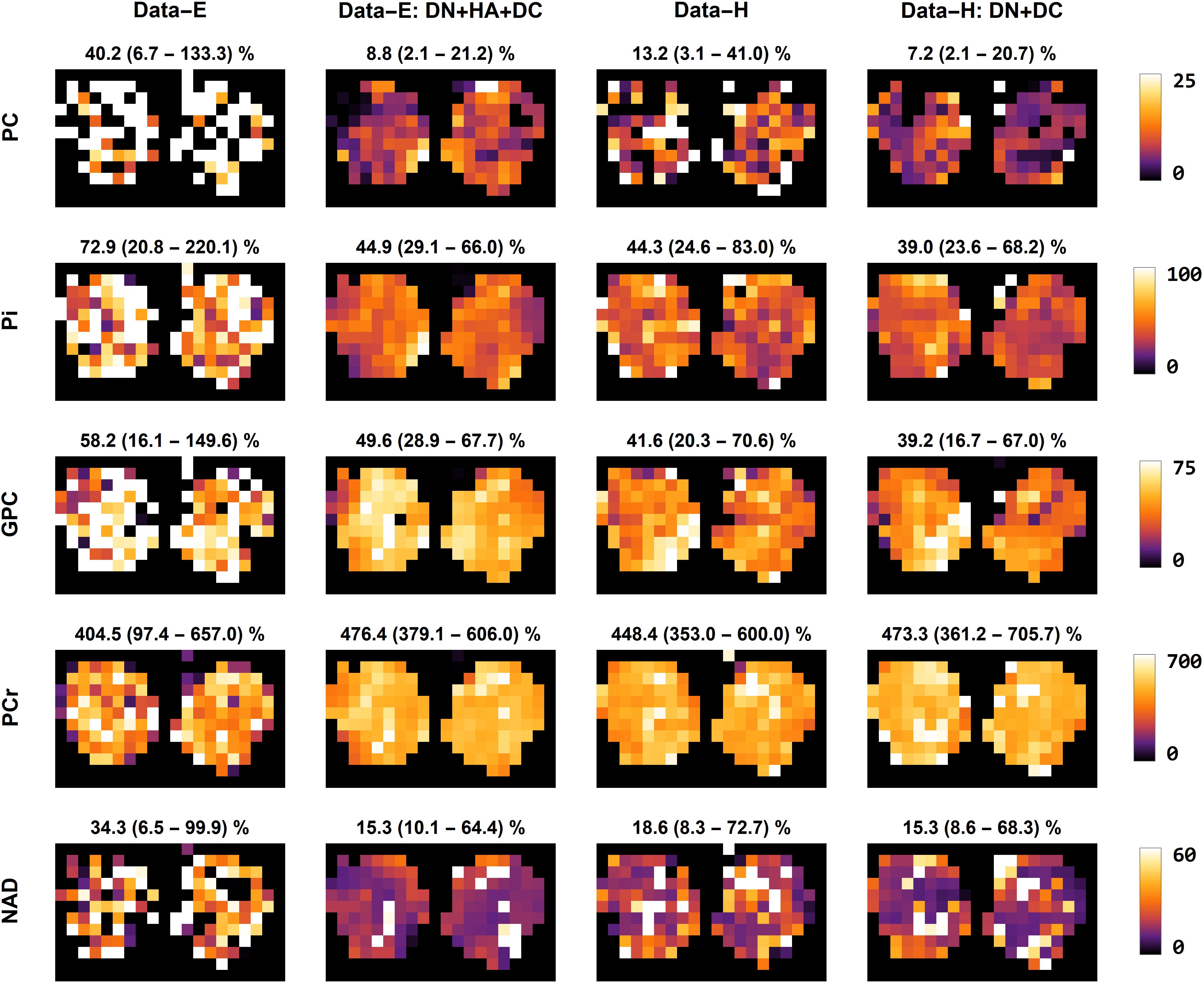 Data fitting metabolite maps