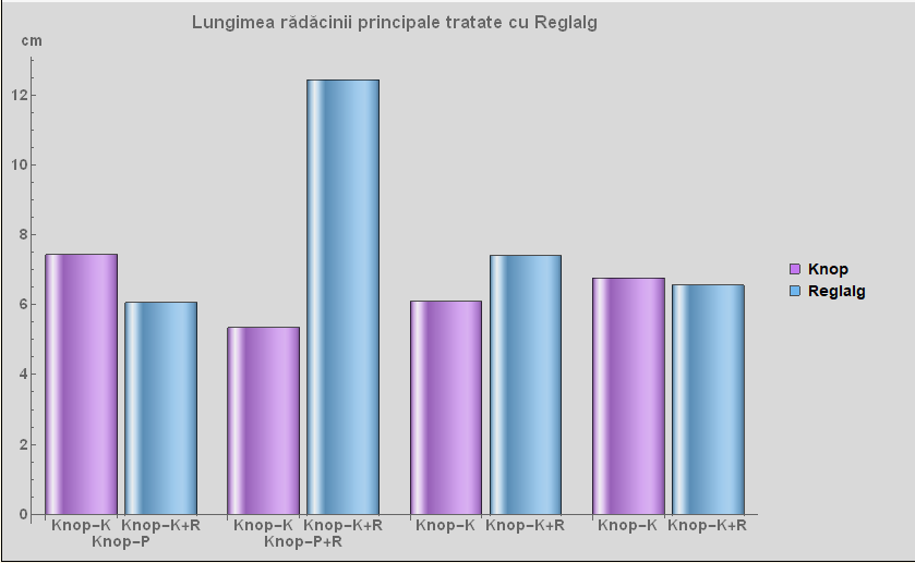 the results of my code