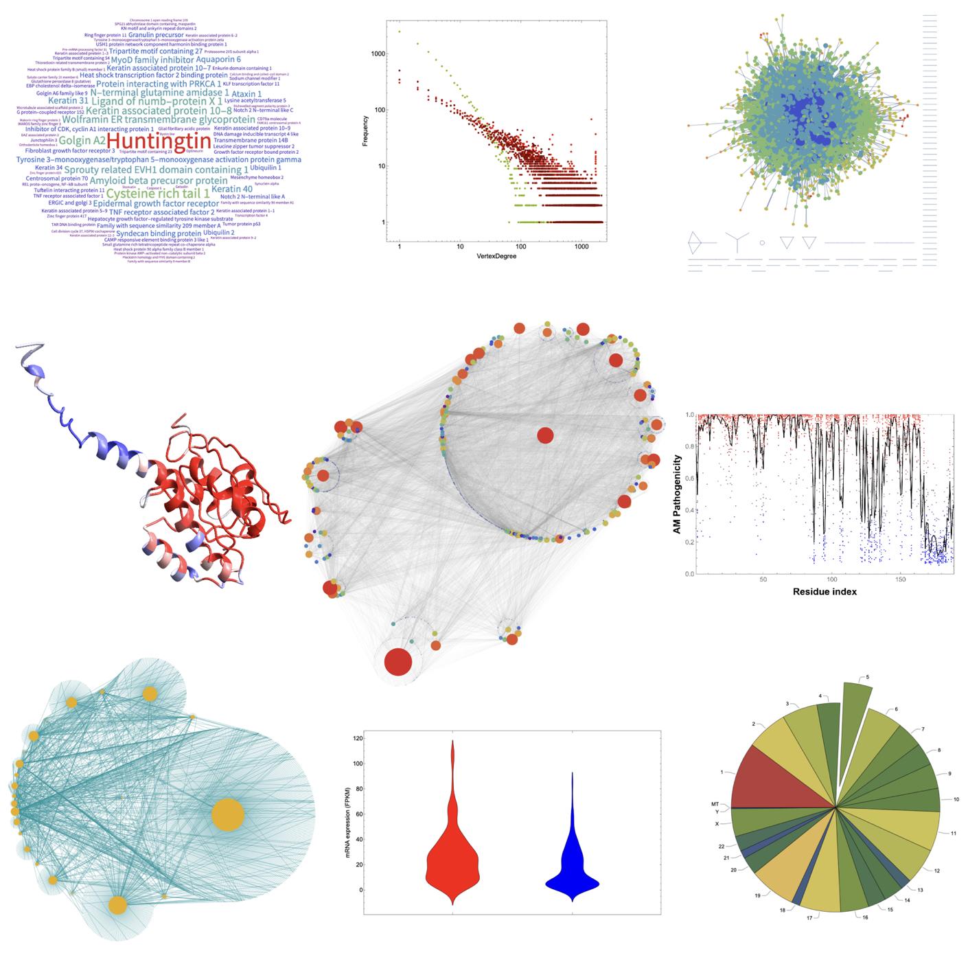 Analyzing and visualizing the human protein-protein interaction network