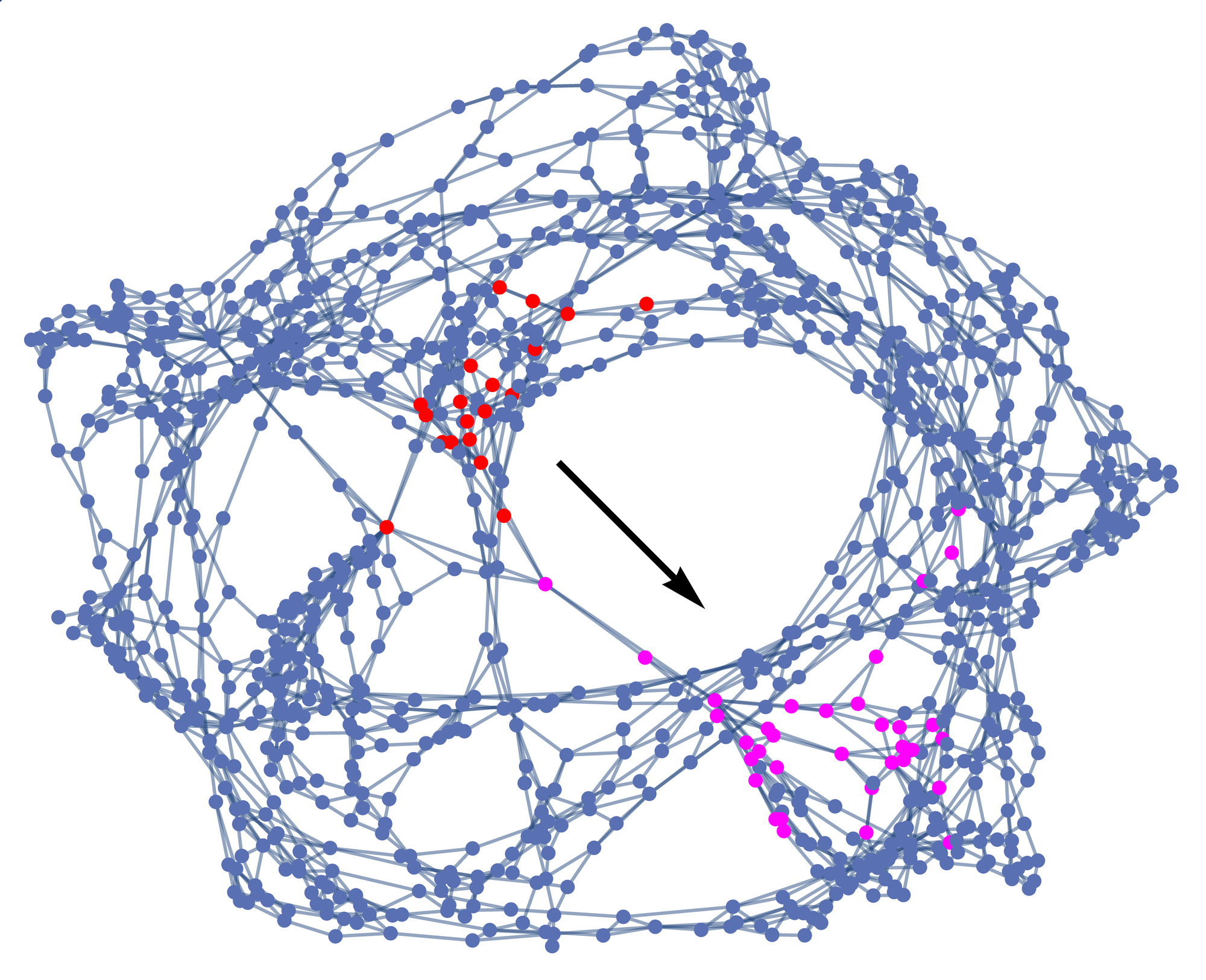 Particle evolution in the states hypergraph.