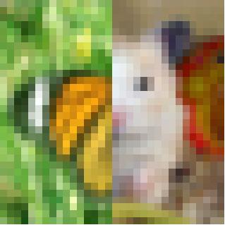 Spliced image containing half of a butterfly and half a rodent