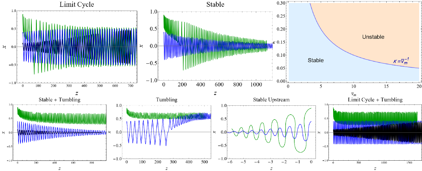 How inertial lift affects the dynamics of a microswimmer in