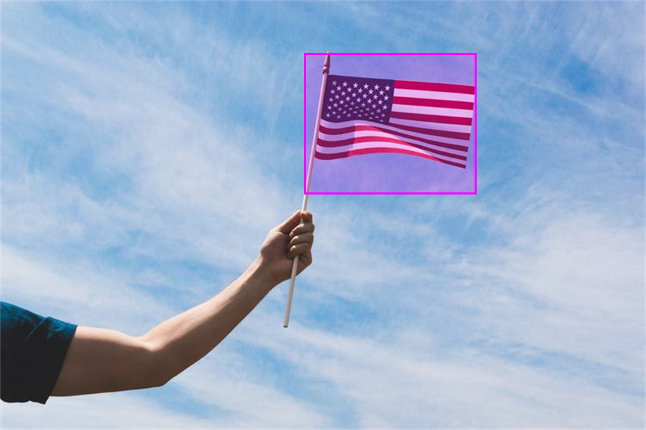 Person holding US flag