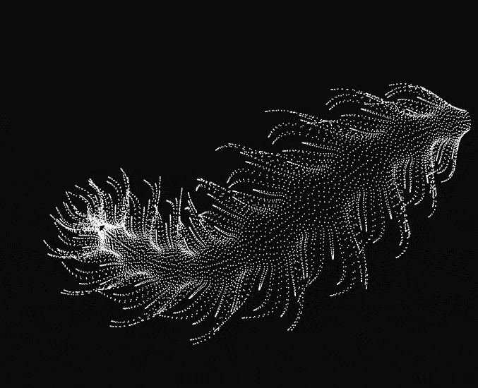Magnoquill Driftflare Quiverbloom: translating from P5.JS processing to Wolfram