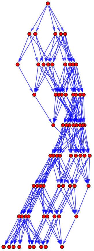 Evolution Graph Structure