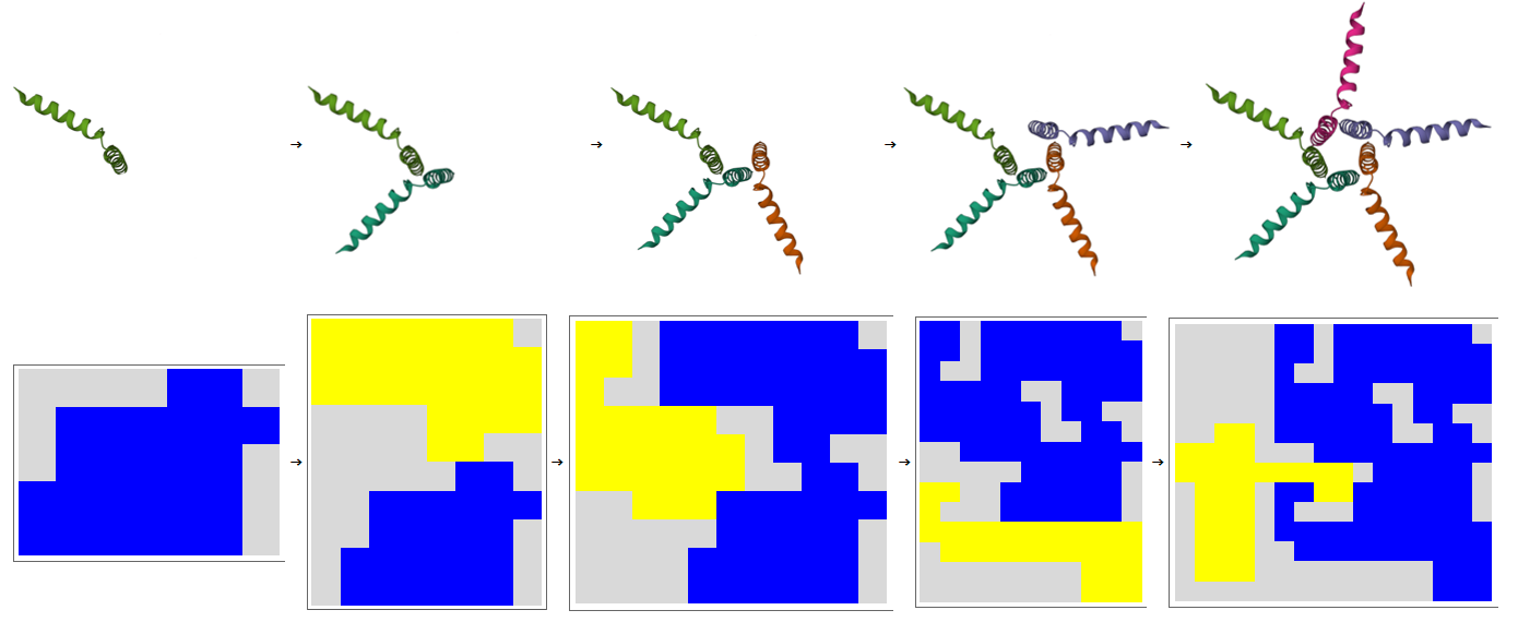 Tetris for Proteins Graphical Abstract