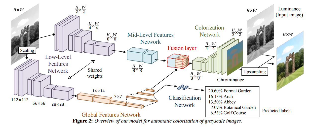 Network feature. Архитектура CNN with 5 output layer. Image scaling таблица. Local and Global Networks. End to end Neural Networks.