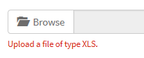 error after submitting the file with correct extension