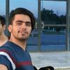 shahin eskandri